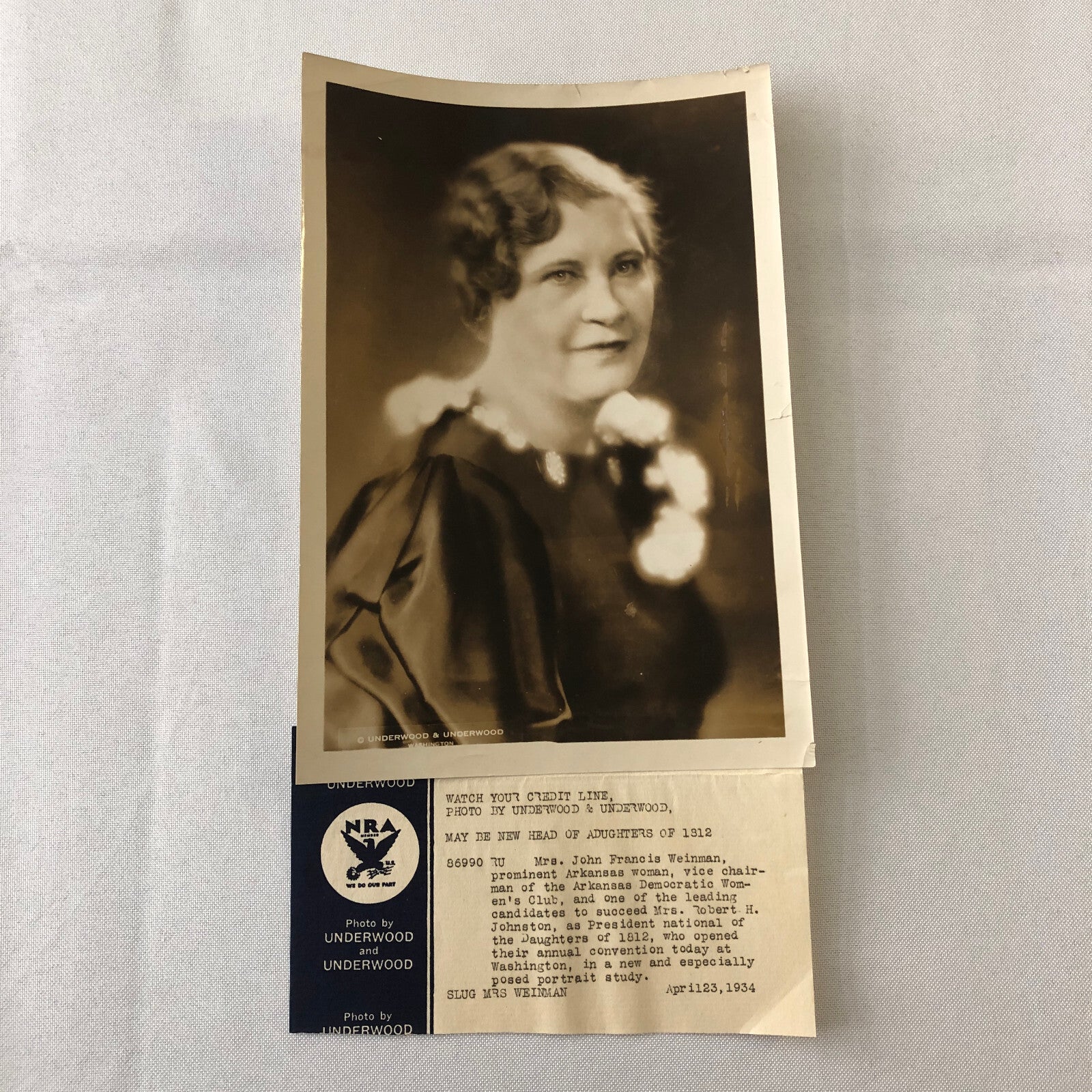Press Photo Photograph 1934 Portrait Democratic Womens Club Vice Chairman