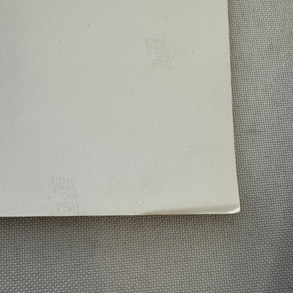 Vintage Porsche Martini Racing Car Photo Photograph Print