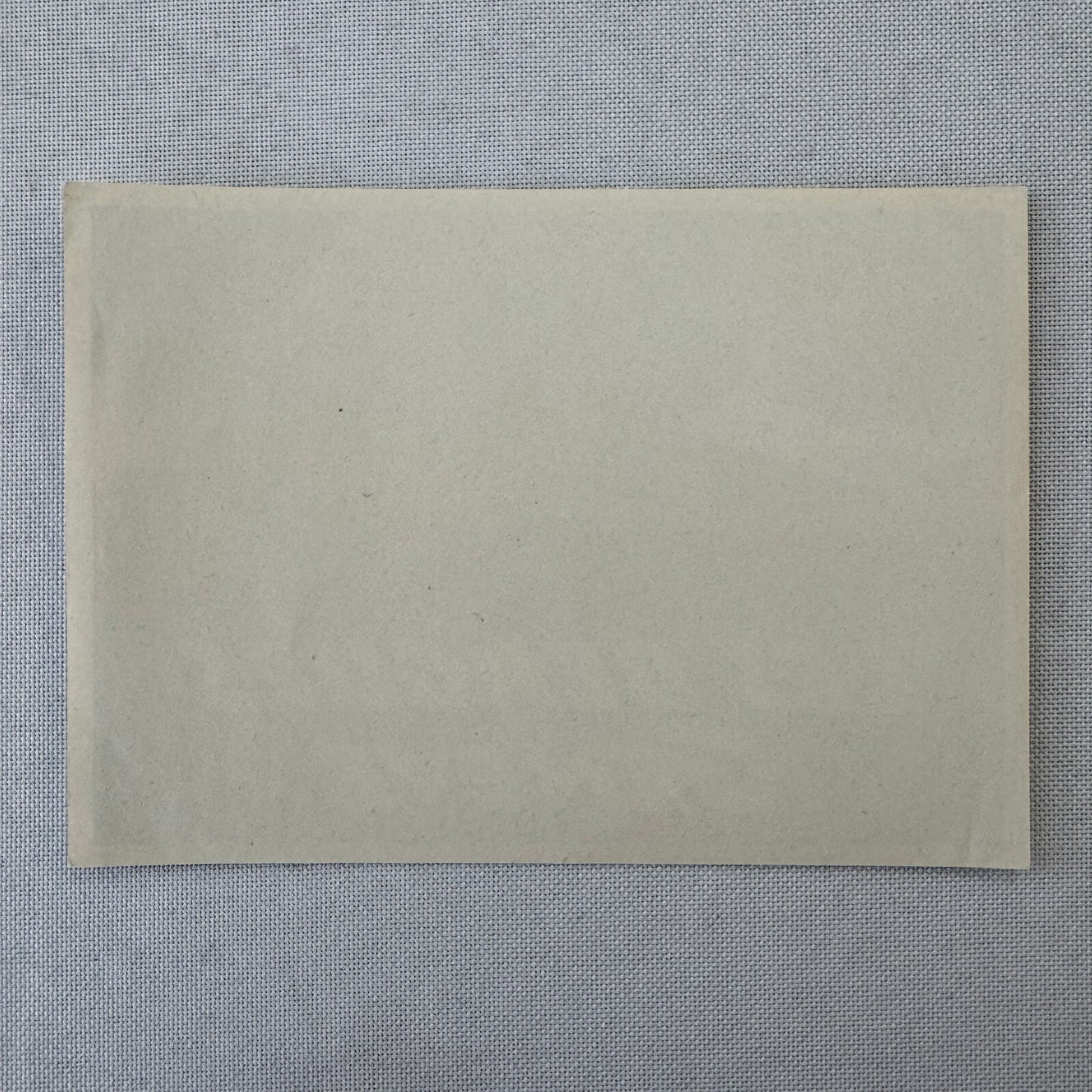 Vintage Travel Luggage Label Les Bergues Geneve Geneva Switzerland