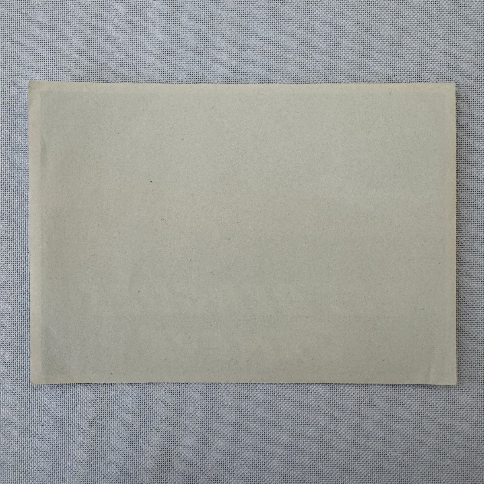 Vintage Travel Luggage Label Les Bergues Geneve Geneva Switzerland