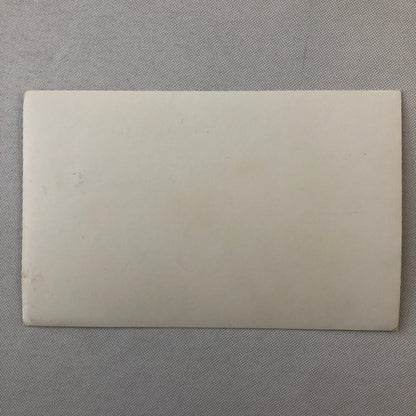 Vintage Motorcycle Sidecar Racing Photo photograph Rider Side Car