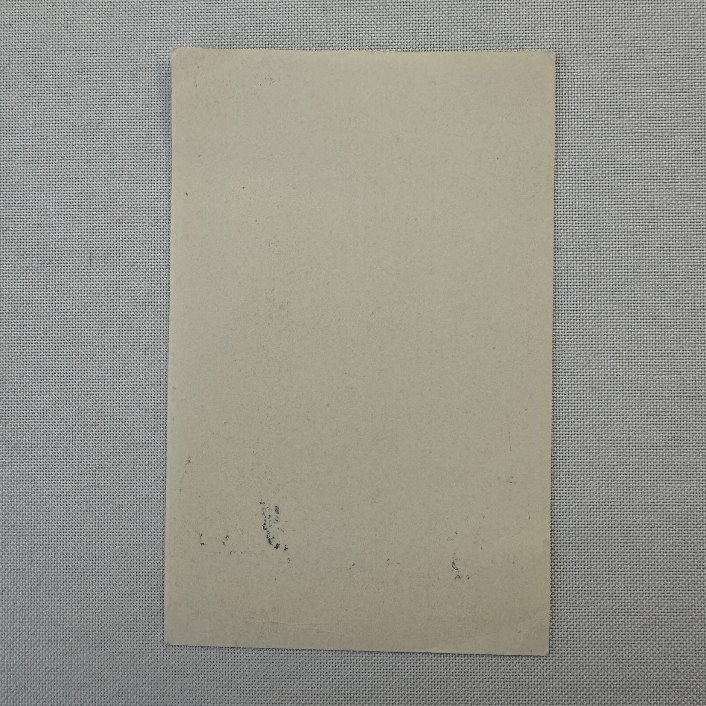 Vintage Travel Luggage Label Russian Soviet Union Russia Airline Hotel