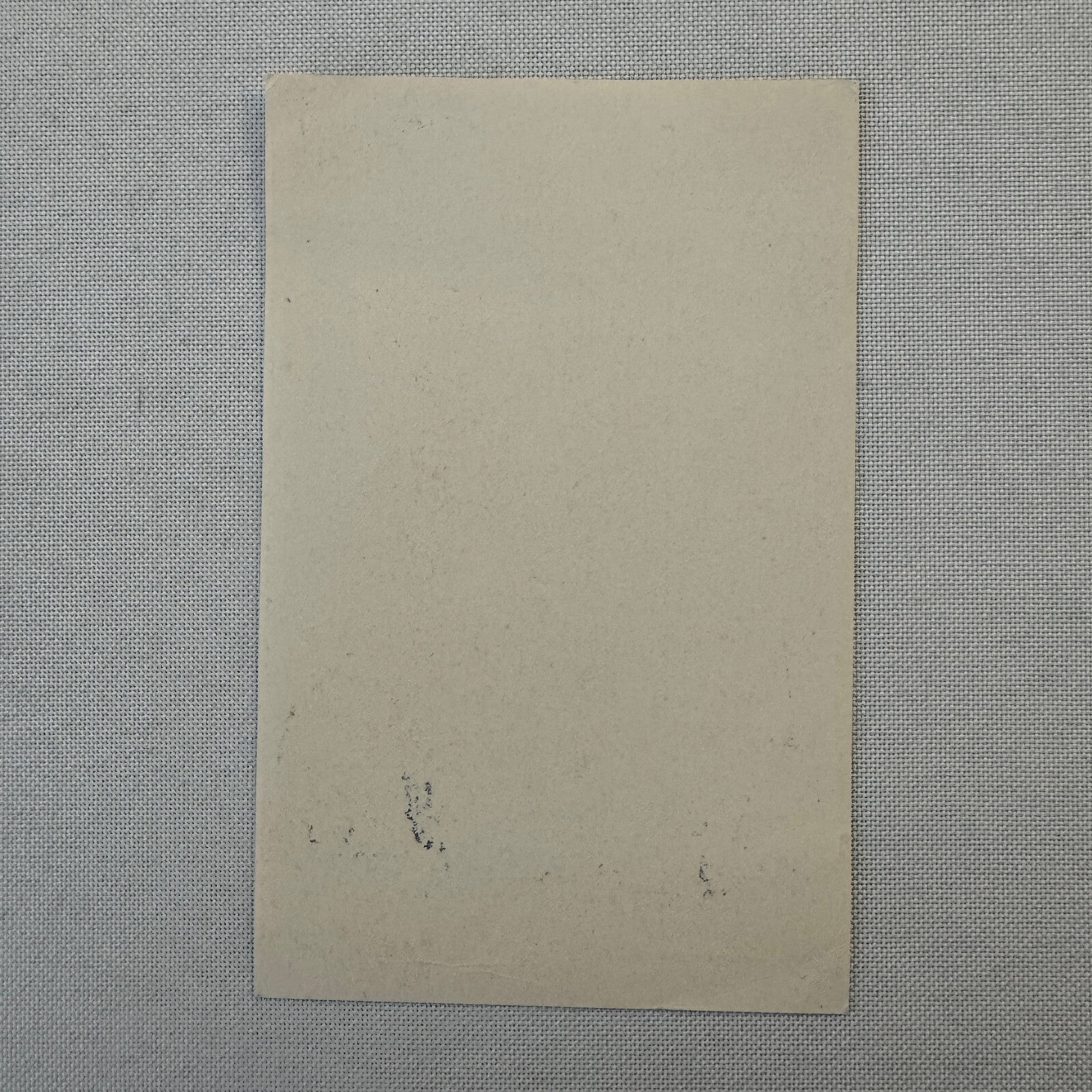 Vintage Travel Luggage Label Russian Soviet Union Russia Airline Hotel