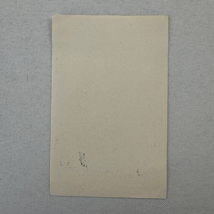 Vintage Travel Luggage Label Russian Soviet Union Russia Airline Hotel