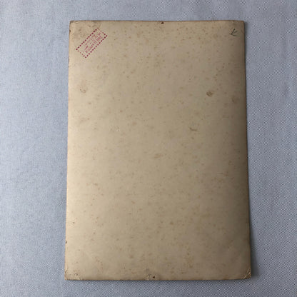 Circus Performer Acrobat Act Duo Cambridge Photo Photograph