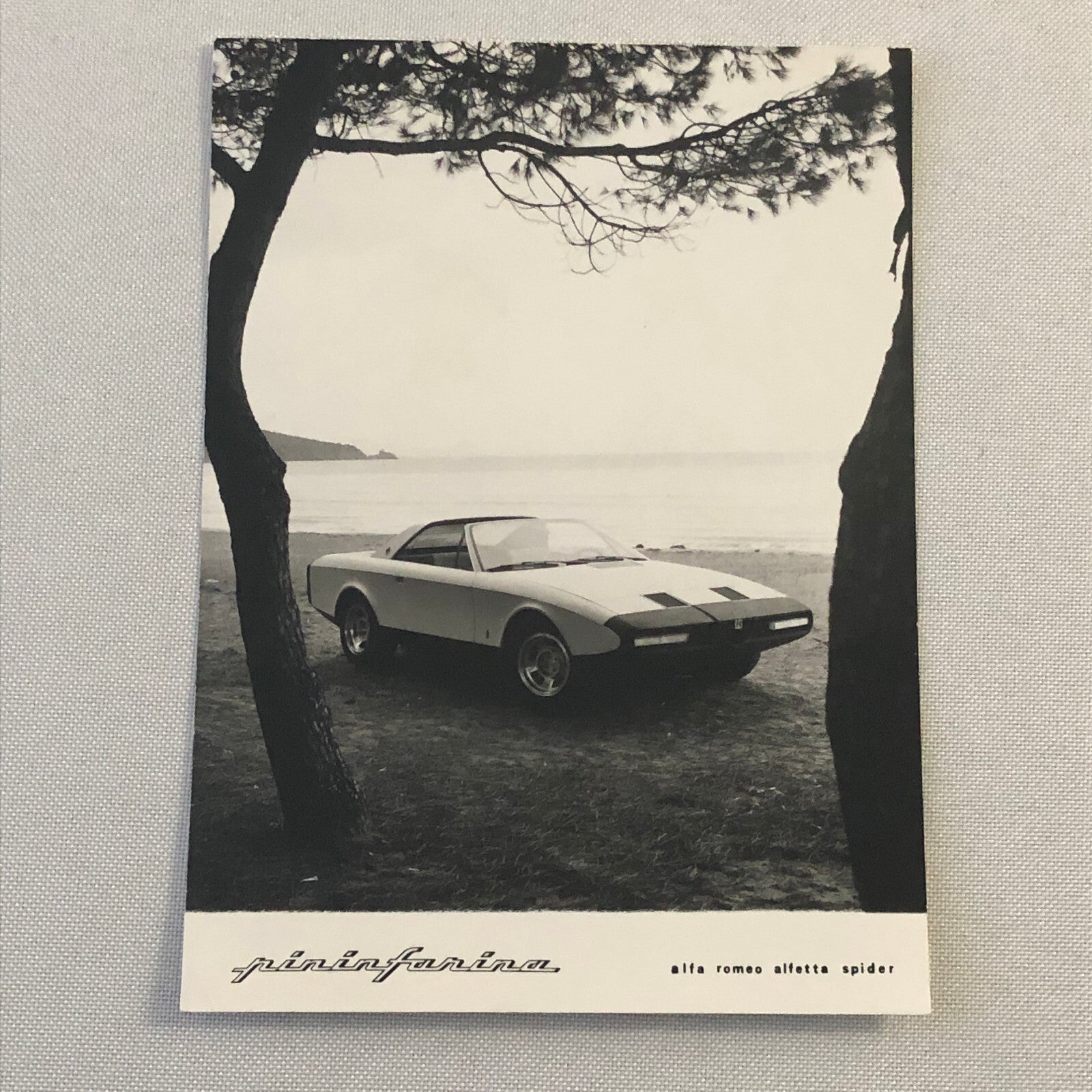 Pininfarina Alfa Romeo Alfetta Spider Concept Car Photo Photograph Print