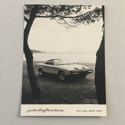 Pininfarina Alfa Romeo Alfetta Spider Concept Car Photo Photograph Print
