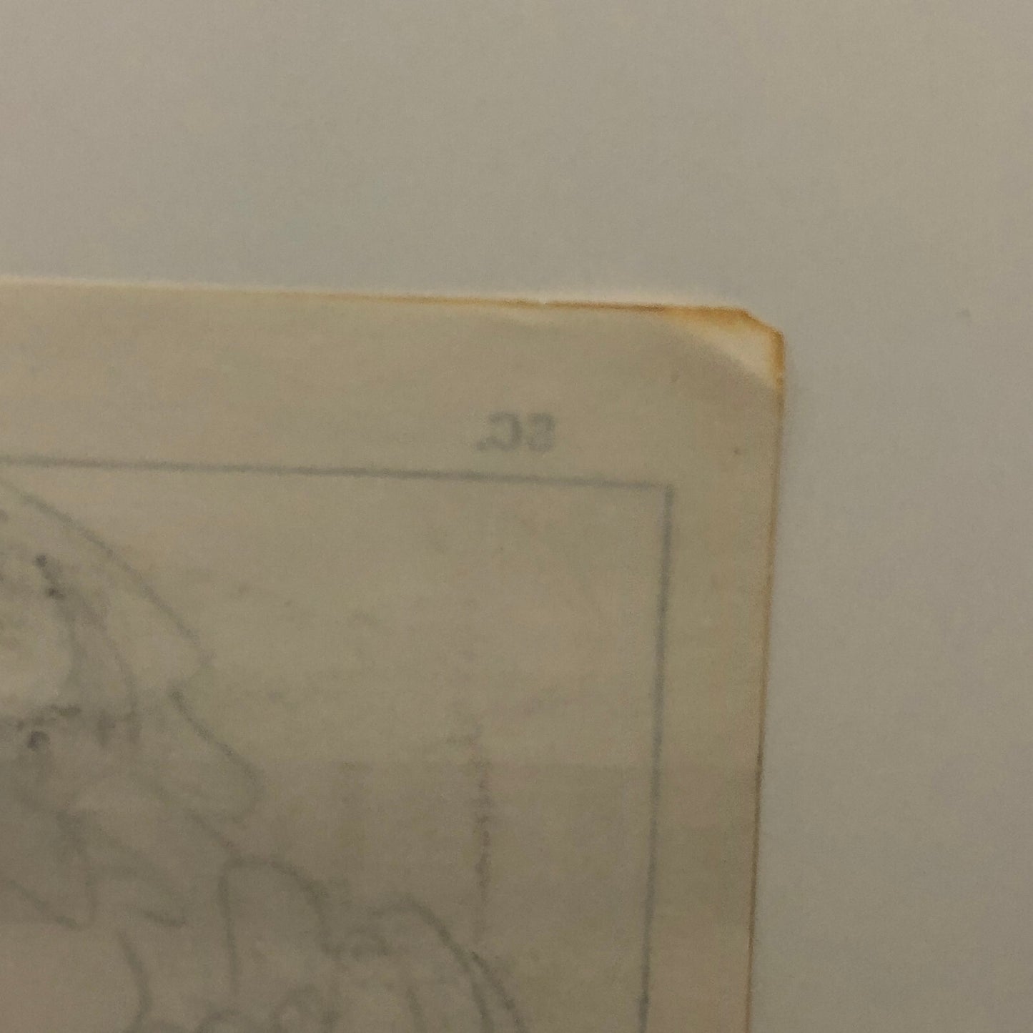 ANIMANIACS Animation Storyboard Illustration Drawing Sketch Story Board Art