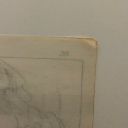 ANIMANIACS Animation Storyboard Illustration Drawing Sketch Story Board Art