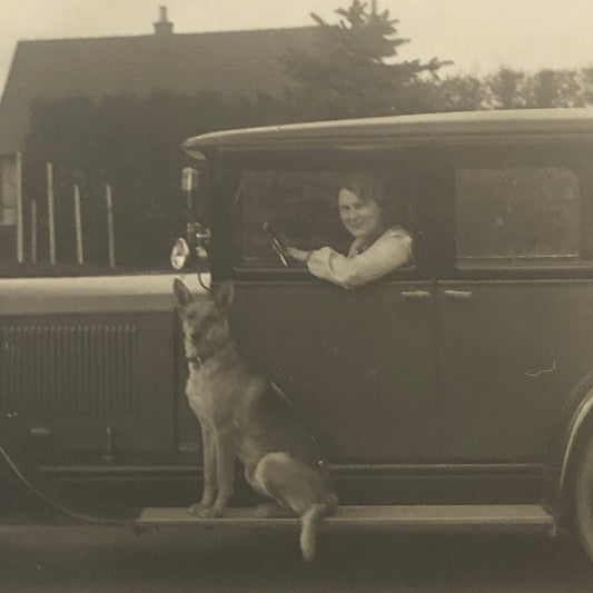 Vintage Dog Photo German Shepherd Car Woman Automobile Photograph AL22SM1