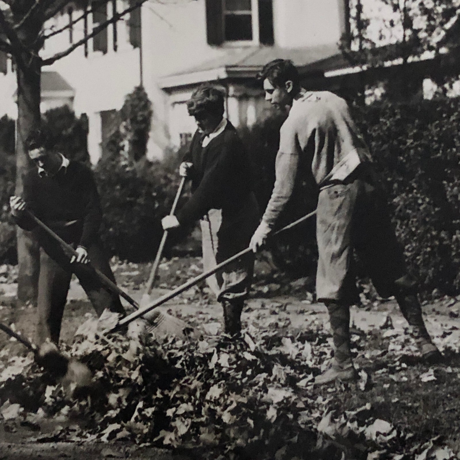 Press Photo Photograph People Raking Leaves Keystone Underwood