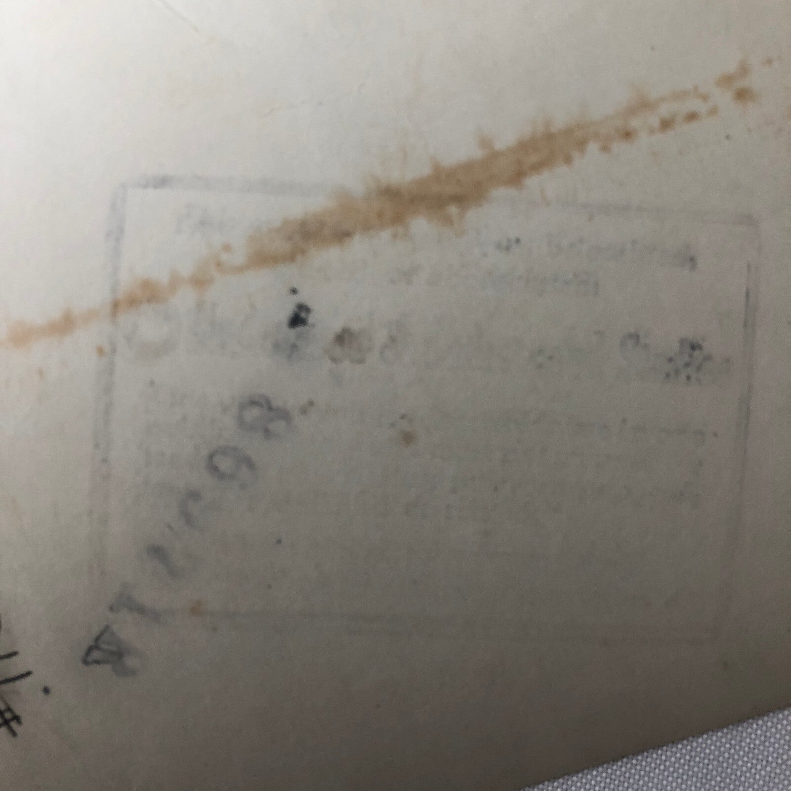 Press Photo Photograph Family of General Douglas MacArthur & Pendleton Mayo 1934