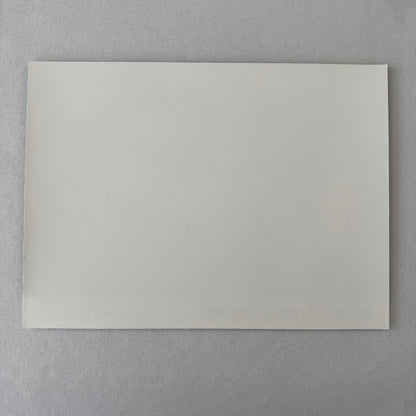 Porsche Quaker State Indy Car Racing Factory Press Photo Photograph Print