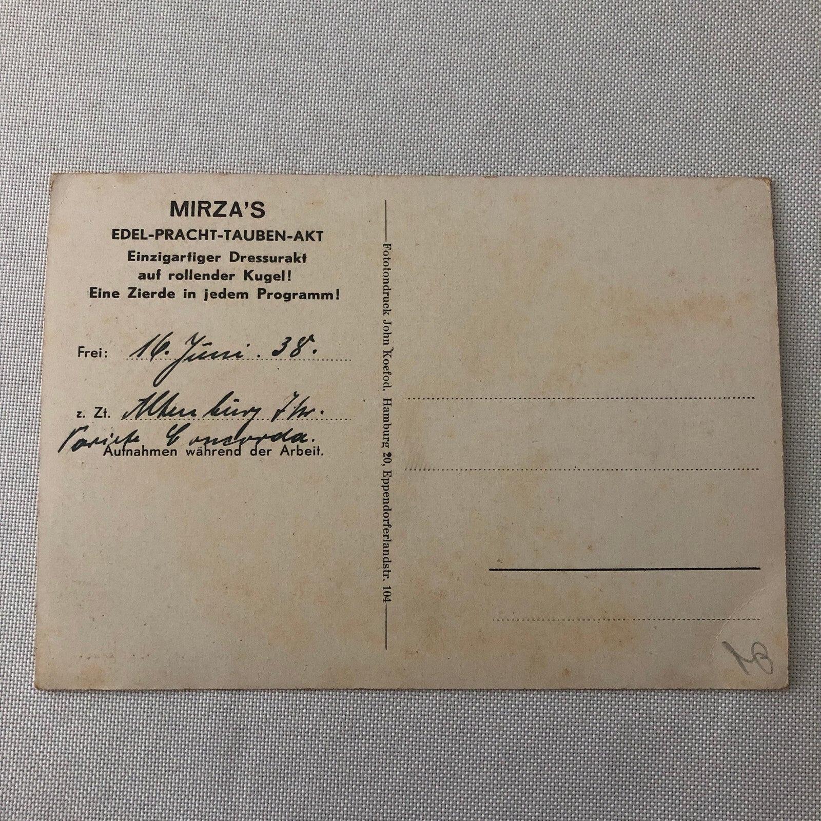 Circus Bird Training Act Postcard Post Card Vintage Mirza's Pracht Tauben Akt