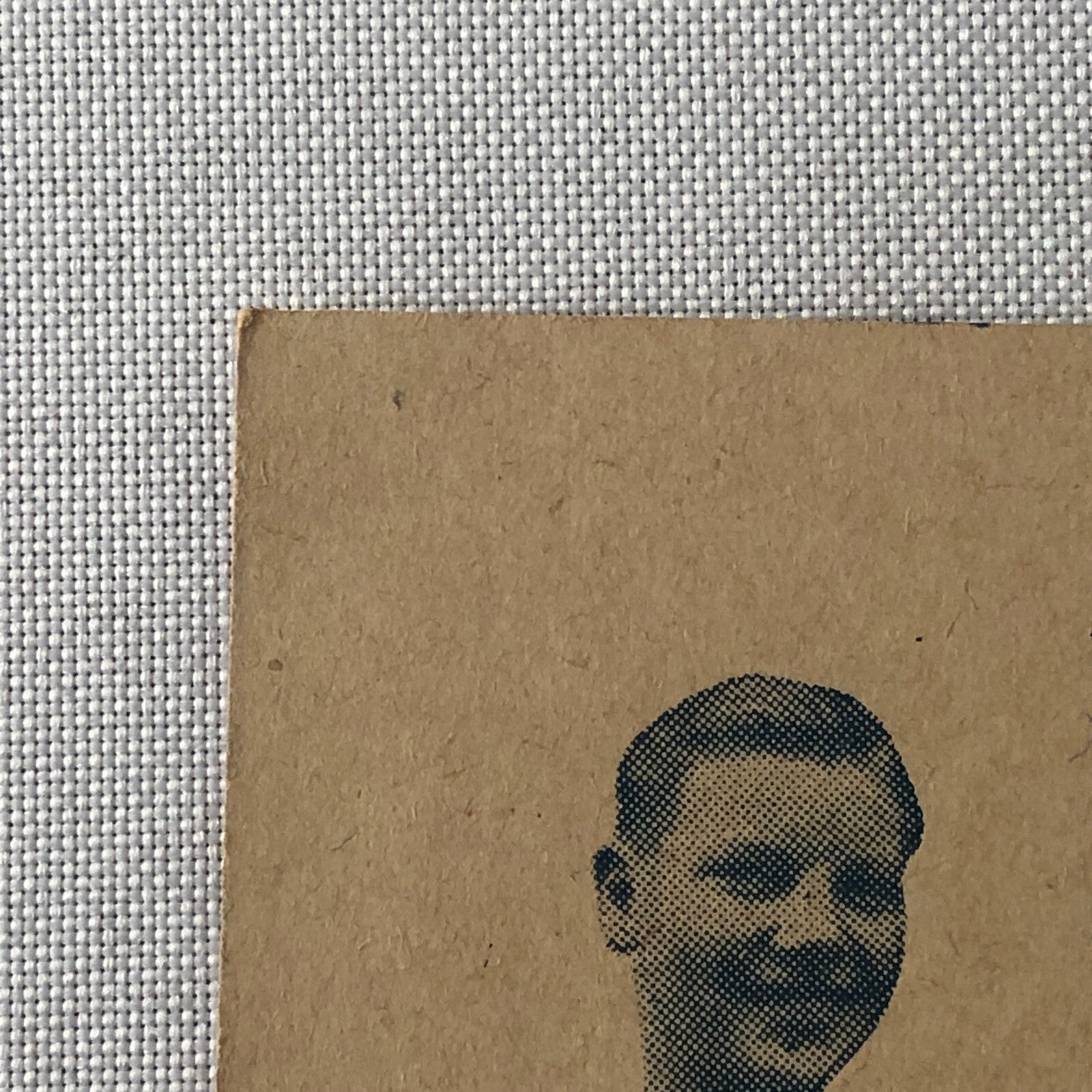 Circus Trapeze Acrobat Children Act Les 5 Freres Renards Postcard Post Card