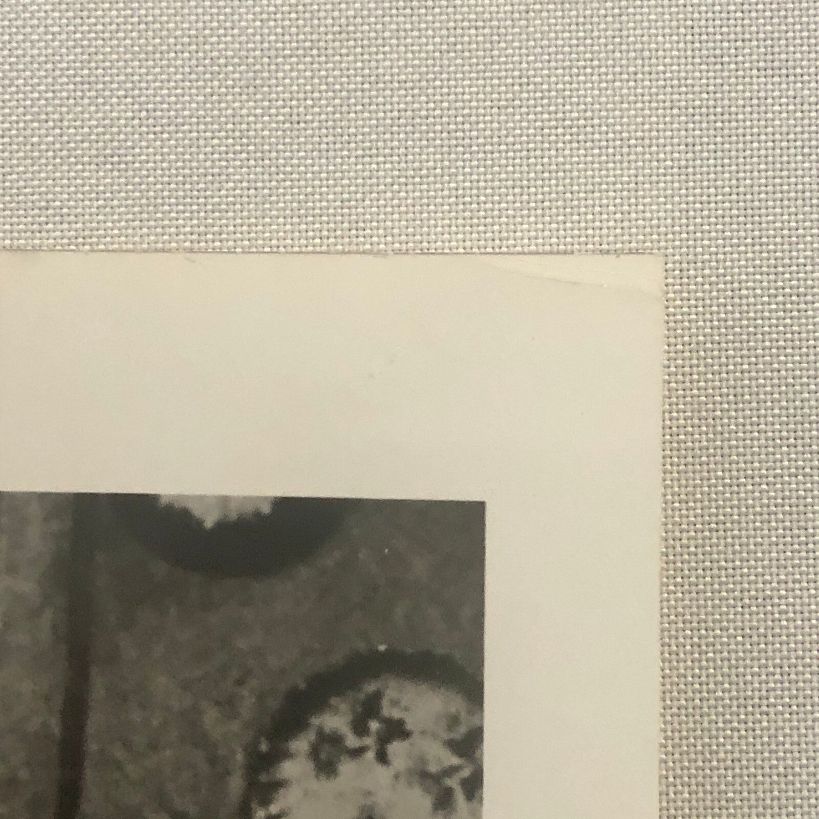 Katharine Hepburn Actress Photo Photograph Print Movie Still