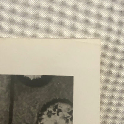 Katharine Hepburn Actress Photo Photograph Print Movie Still