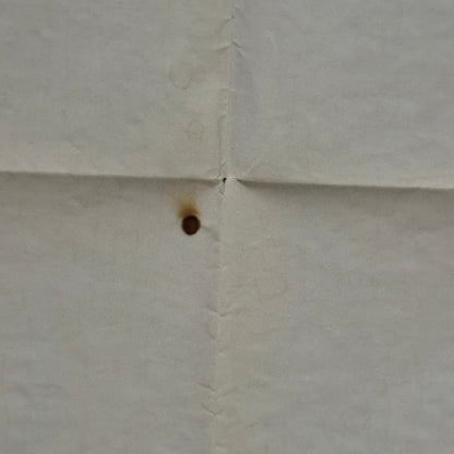 Vintage Disney Movie Poster $1,000,000 Duck Walt Disney Film Million Dollar Duck