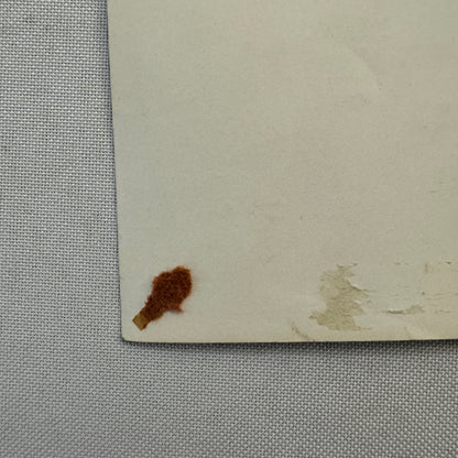 Vintage Italian Circus Act Press Photo Photograph Beautiful Women Balancing Act