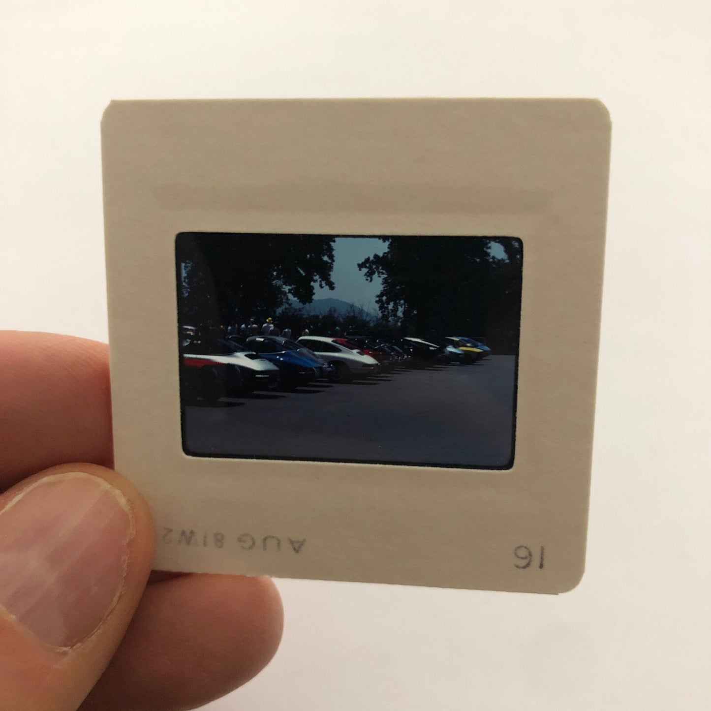 Porsche 911 Car Show 35mm Photo Slide Vintage 1981