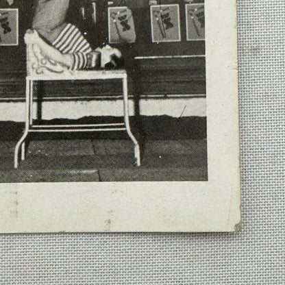 Circus Barlay Berlin Germany Les Ikarus Acrobat Juggling Tumbling Act Postcard