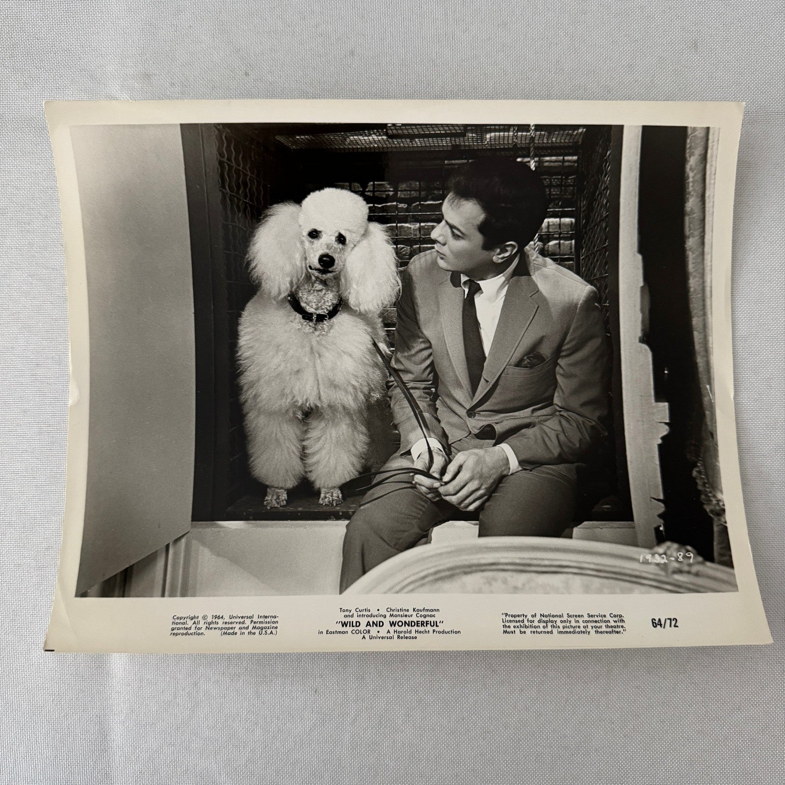 Vintage Movie Still Press Photo Photograph Print Wild and Wonderful Tony Curtis