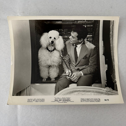 Vintage Movie Still Press Photo Photograph Print Wild and Wonderful Tony Curtis