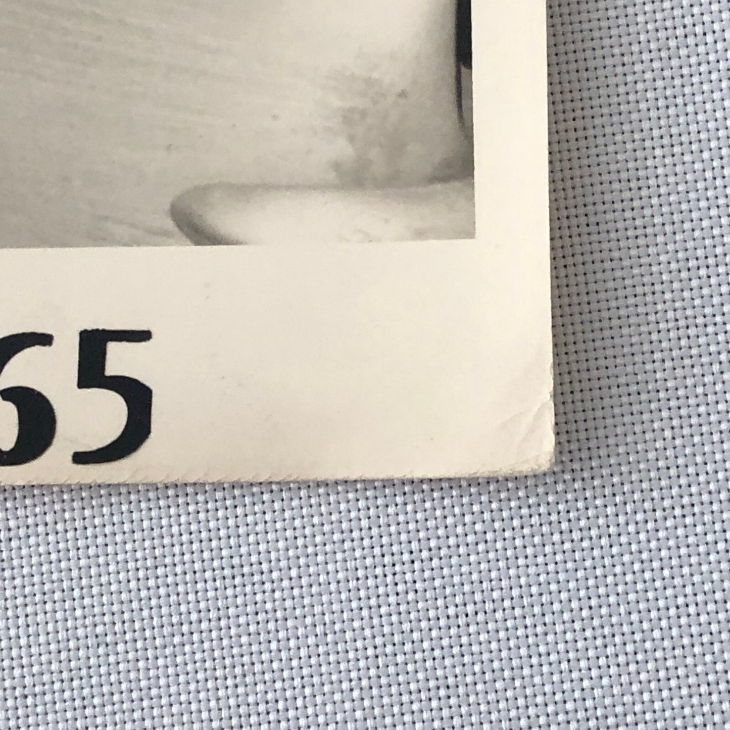 Vintage Renault Alpine Rally Racing Car Photo Photograph 1965 Routes du Nord 