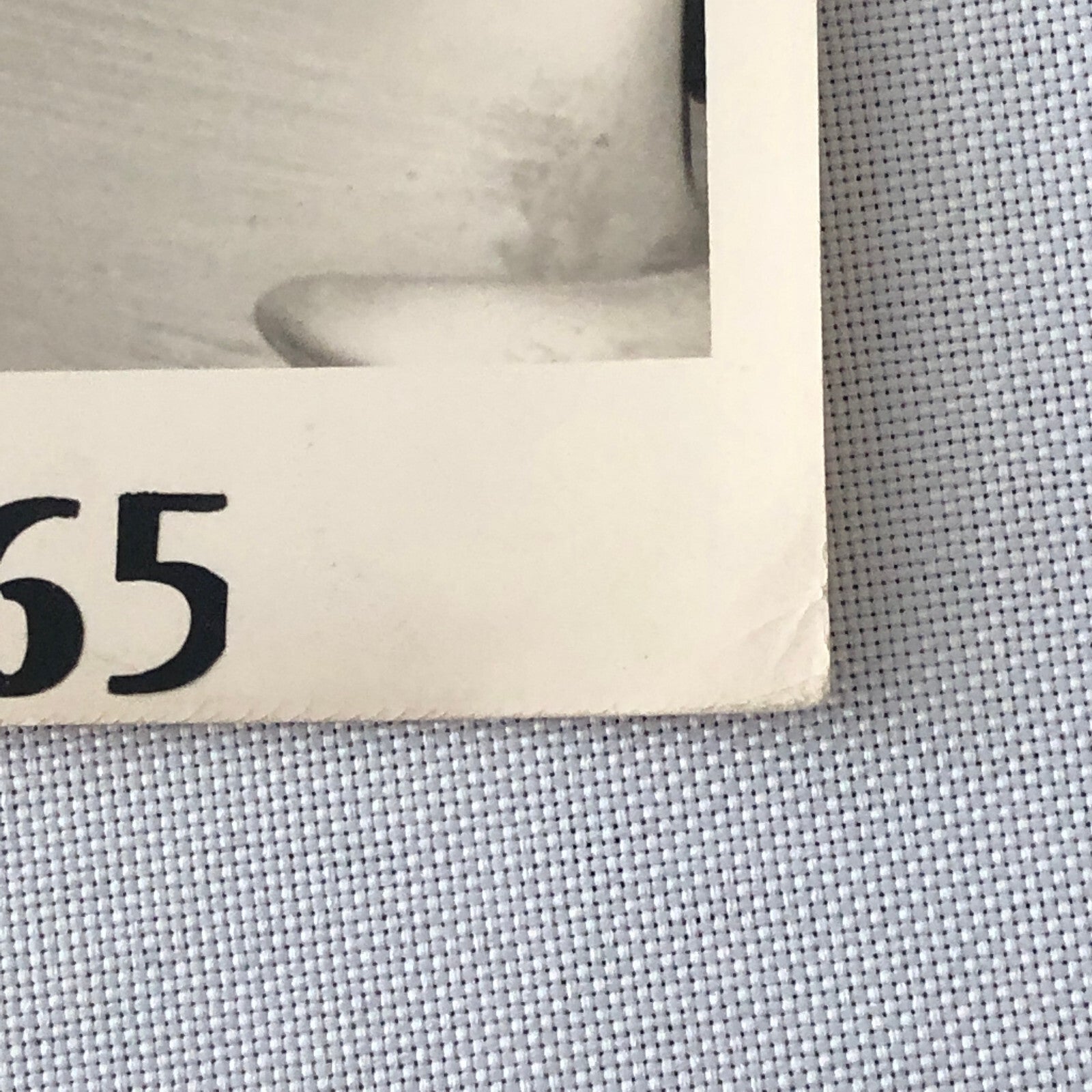 Vintage Renault Alpine Rally Racing Car Photo Photograph 1965 Routes du Nord 