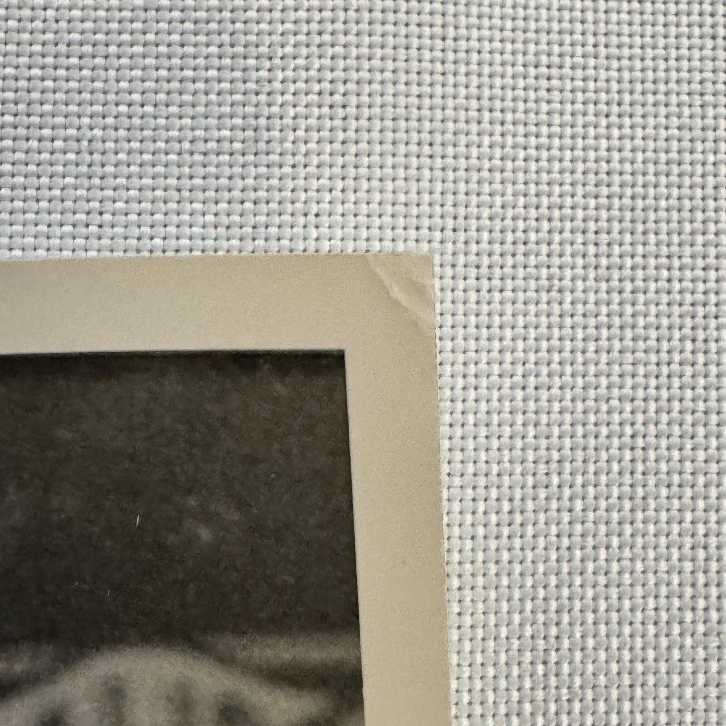 Circus Roller Skating Act Photo Photograph Print Vintage 3 Miehes