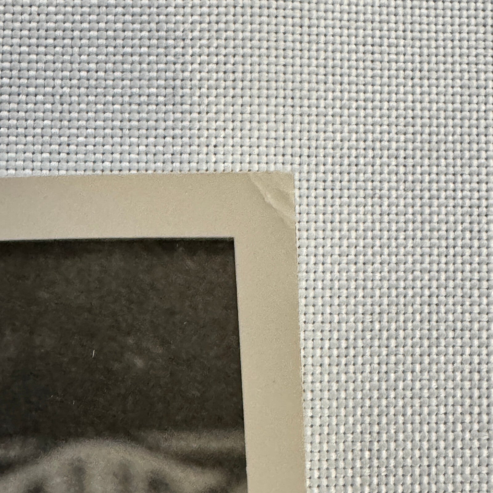 Circus Roller Skating Act Photo Photograph Print Vintage 3 Miehes