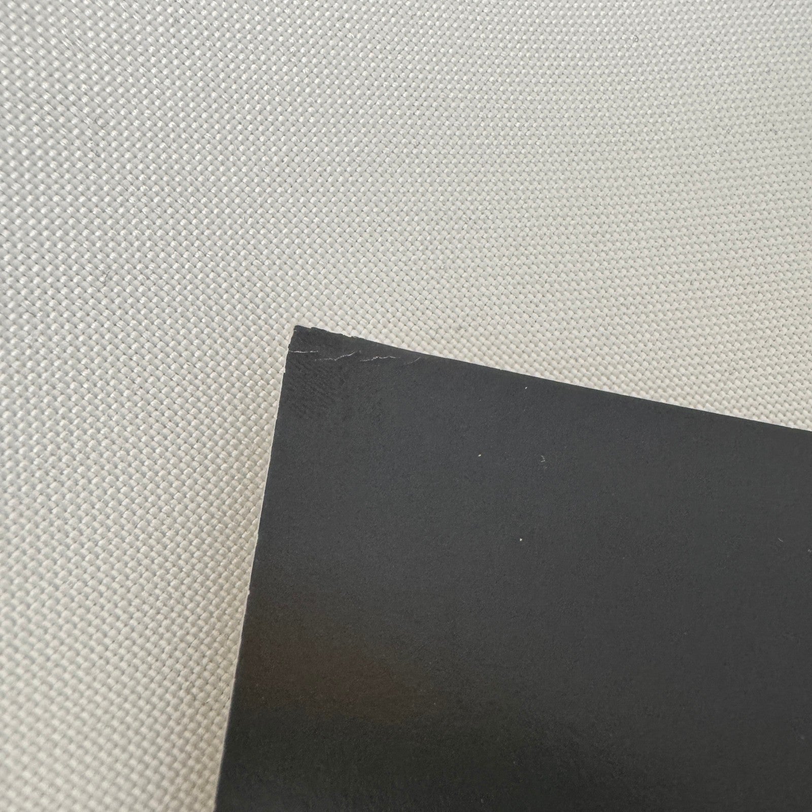 United Farmworkers Union Strike Labour Labor Canada Press Photo Photograph