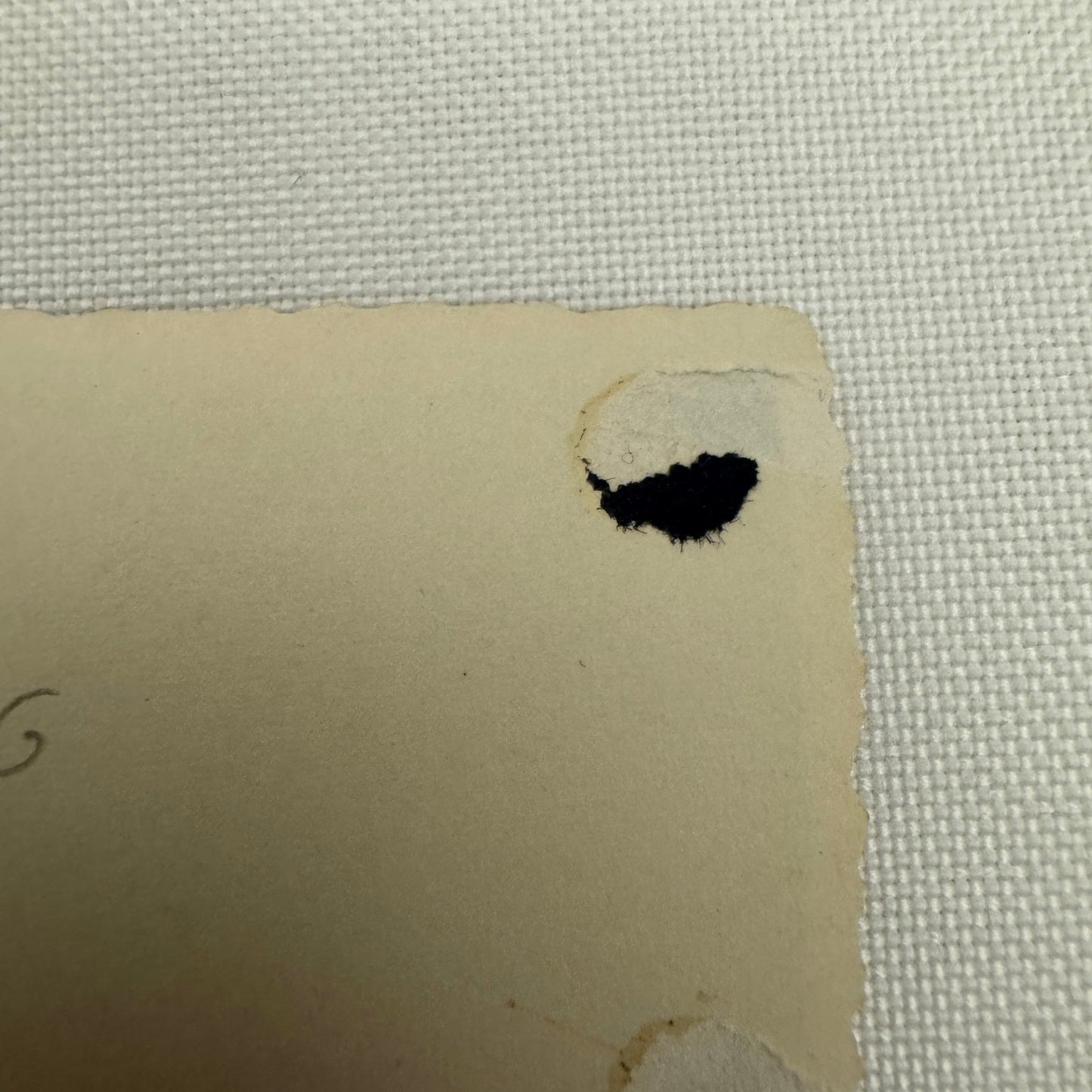 Vintage Racing Car Photo Photograph Early Automobile Motorsport