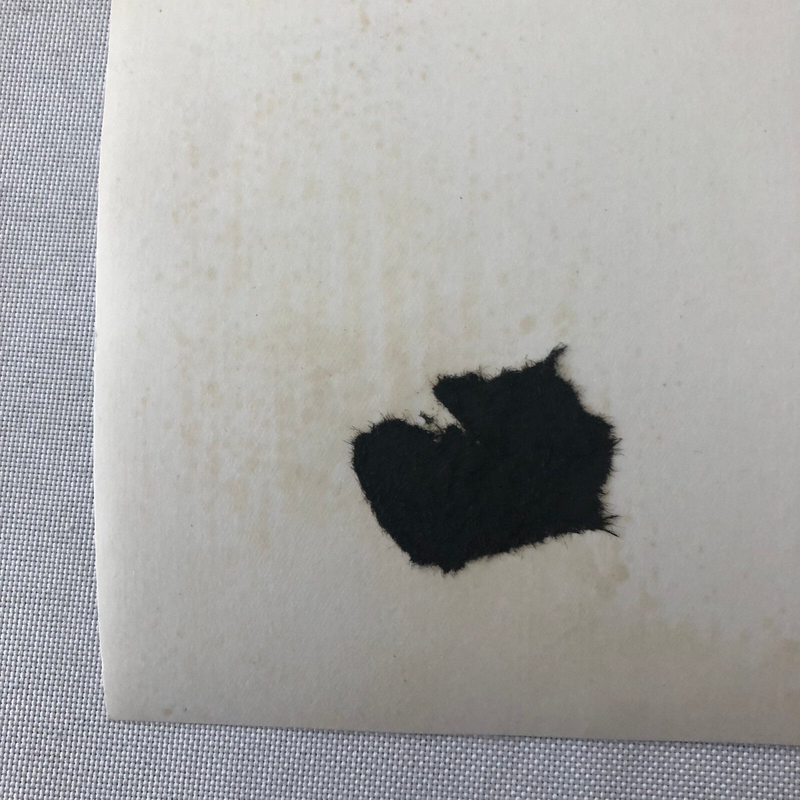 Vintage Motorcycle Racing Photo photograph BMW Sidecar Side Car Bike