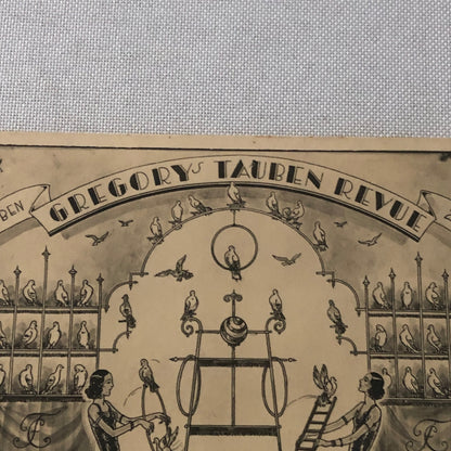 Circus Bird Training Act Postcard Post Card Gregory's Tauben Revue German