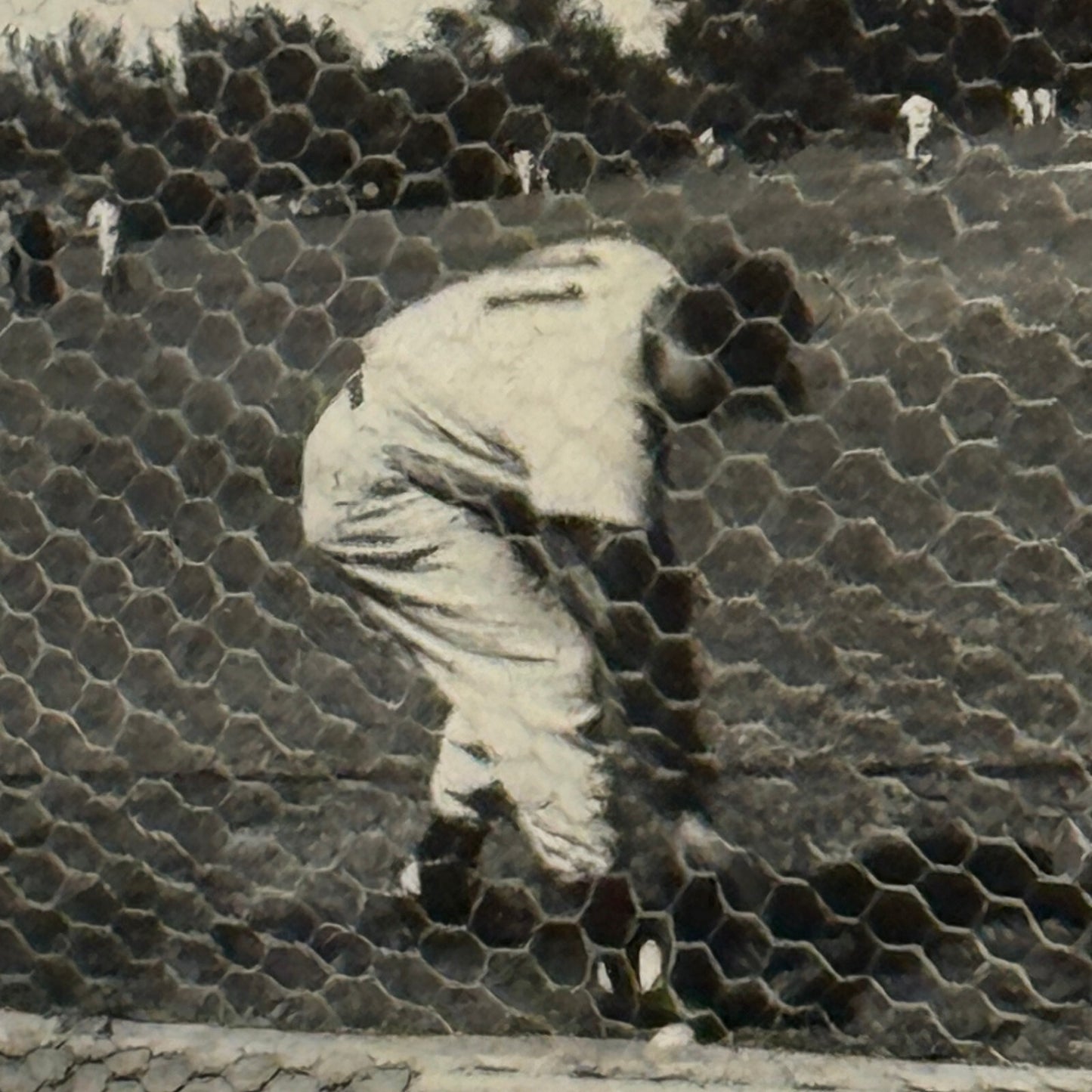 1950 New York Yankees Joe Page Pitcher Photo Photograph Snapshot Baseball NY