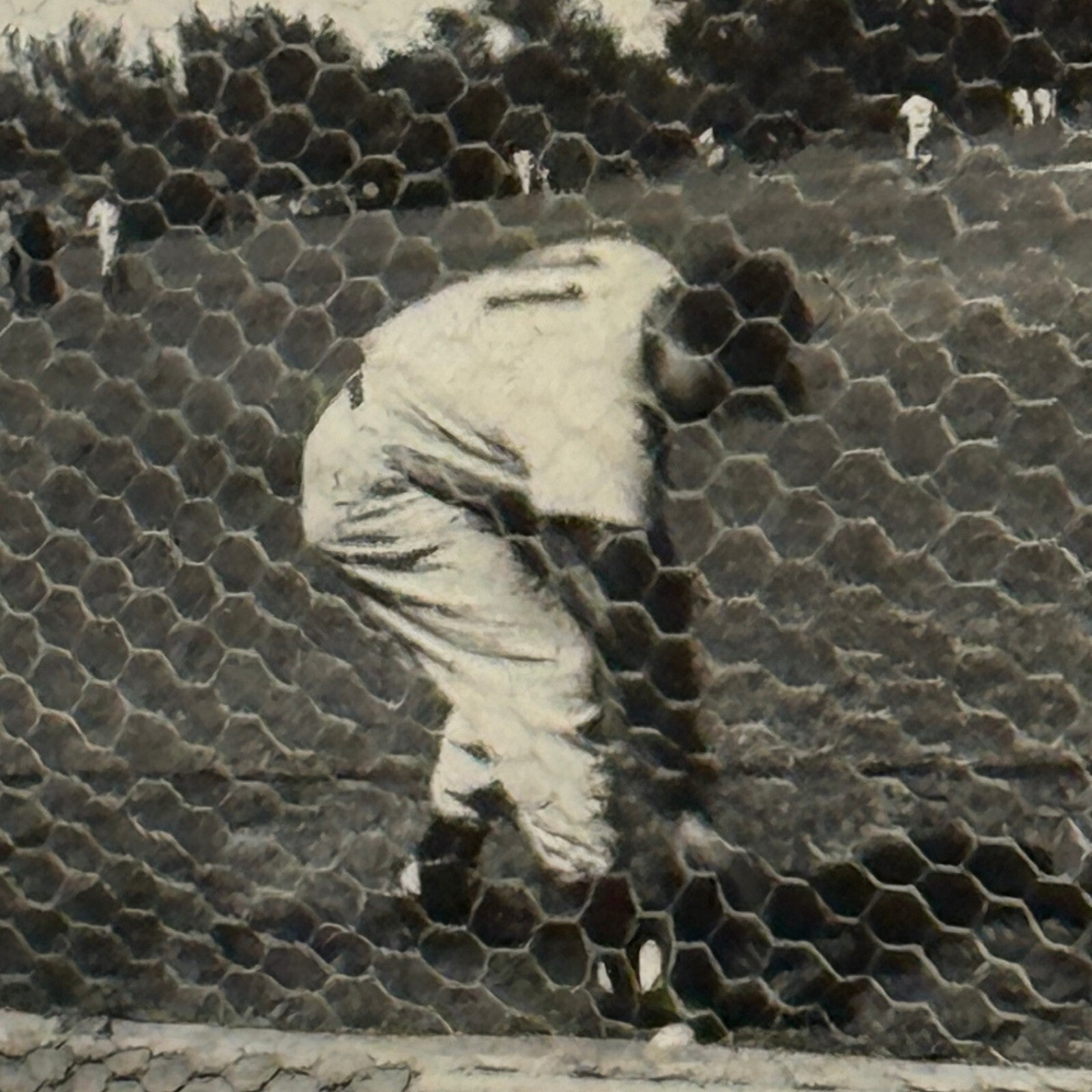 1950 New York Yankees Joe Page Pitcher Photo Photograph Snapshot Baseball NY