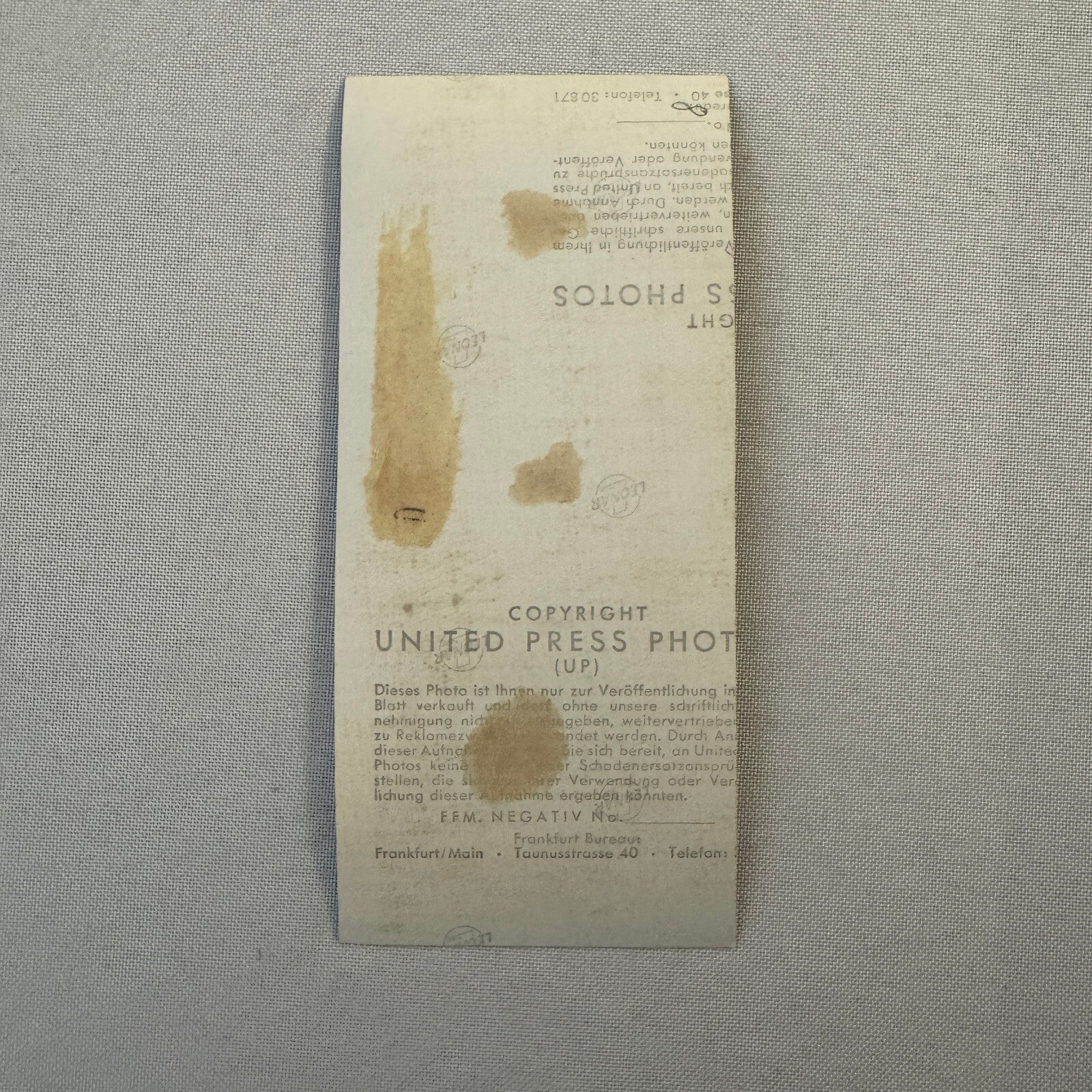 Vintage Porsche 356 Racing Car Press Photo Photograph