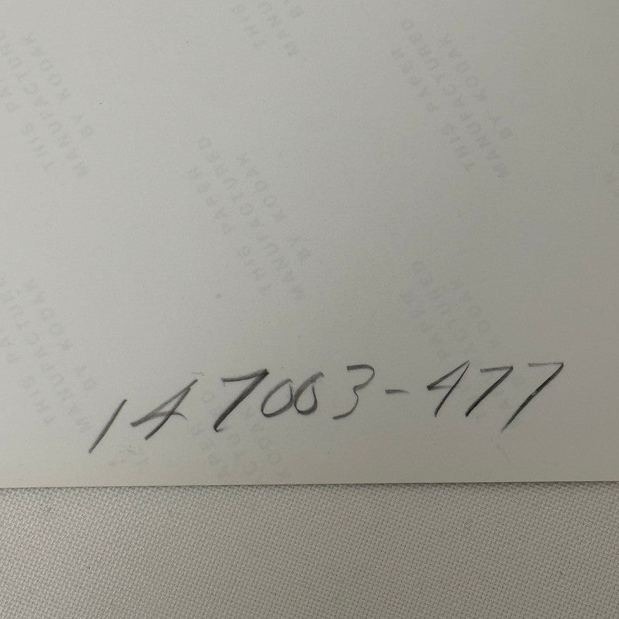 Vintage Ford Thunderbird Car Automobile Photo Photograph Modern Print