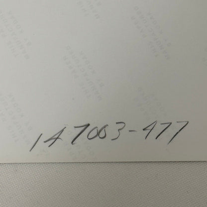 Vintage Ford Thunderbird Car Automobile Photo Photograph Modern Print