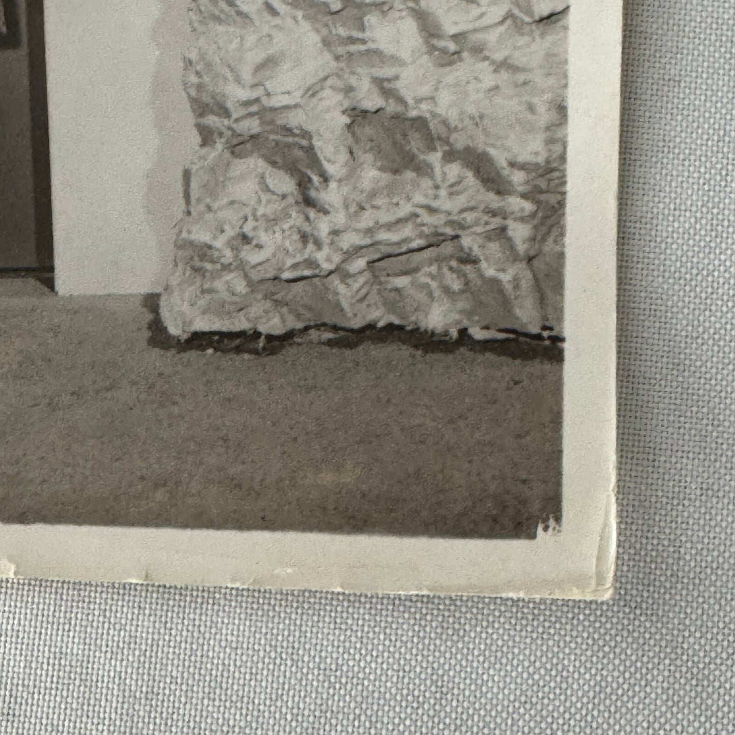 Vintage Movie Photo Photograph Actress with Dog Unidentified