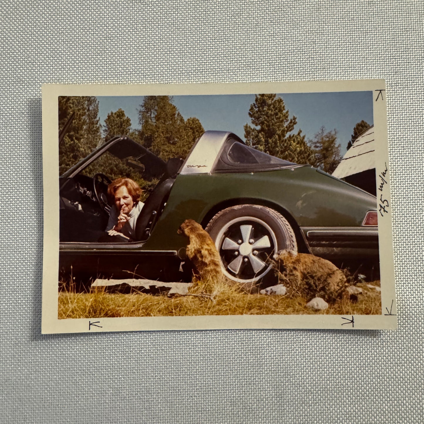 Vintage Photo Photograph Snapshot Porsche 911 Woman Animals