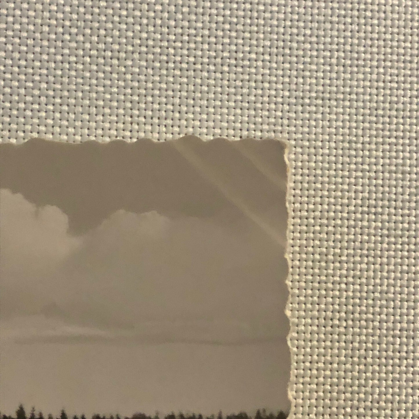 Vintage Porsche Racing Photo Postcard Post Card Photograph Nurburgring