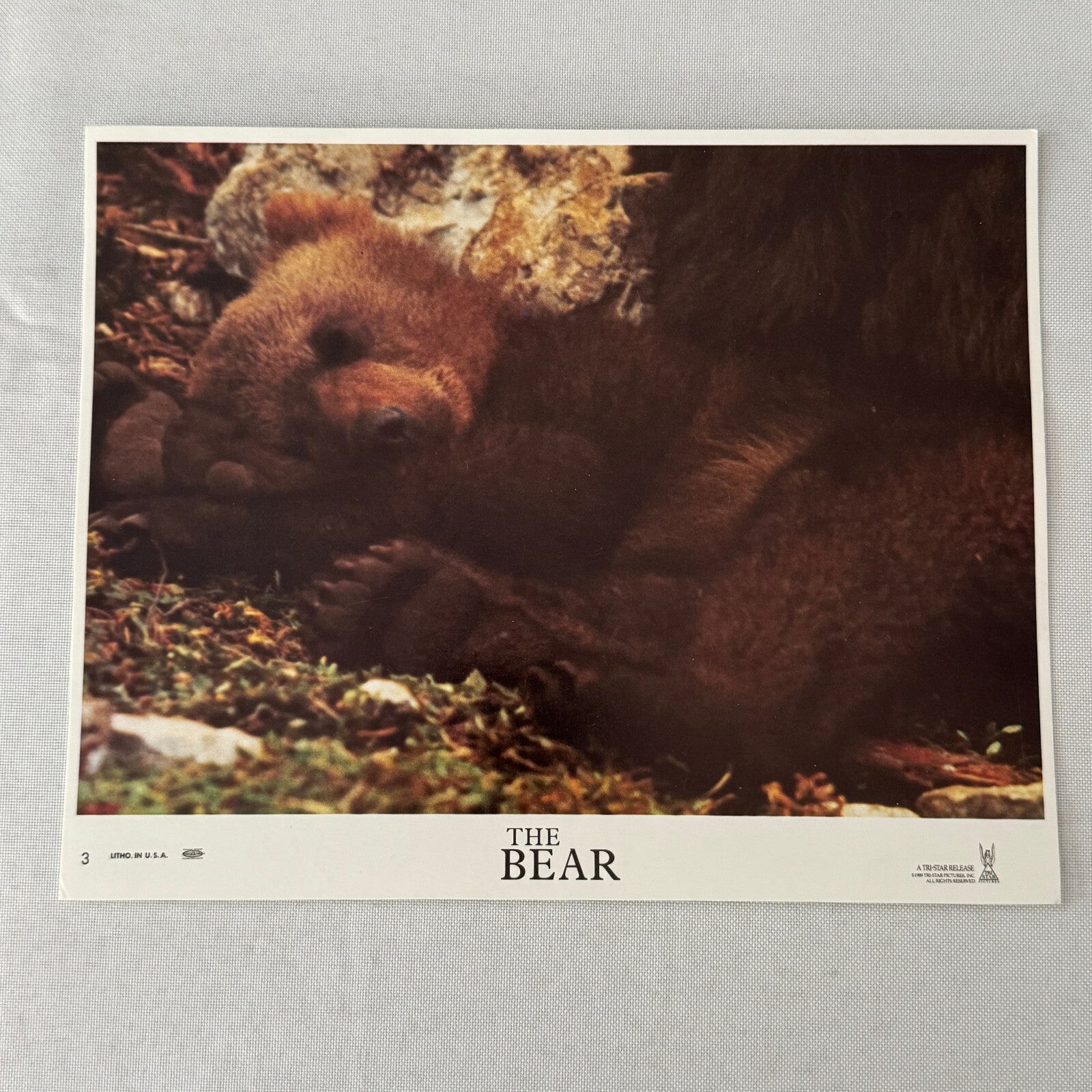 Vintage Movie Film Lobby Card The Bear Tri Star Release 1989