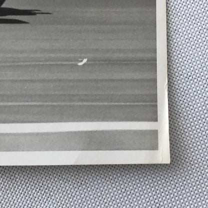 Vintage Indy 500 Indianapolis 500 1967 Racing Photo Photograph AJ Foyt Car