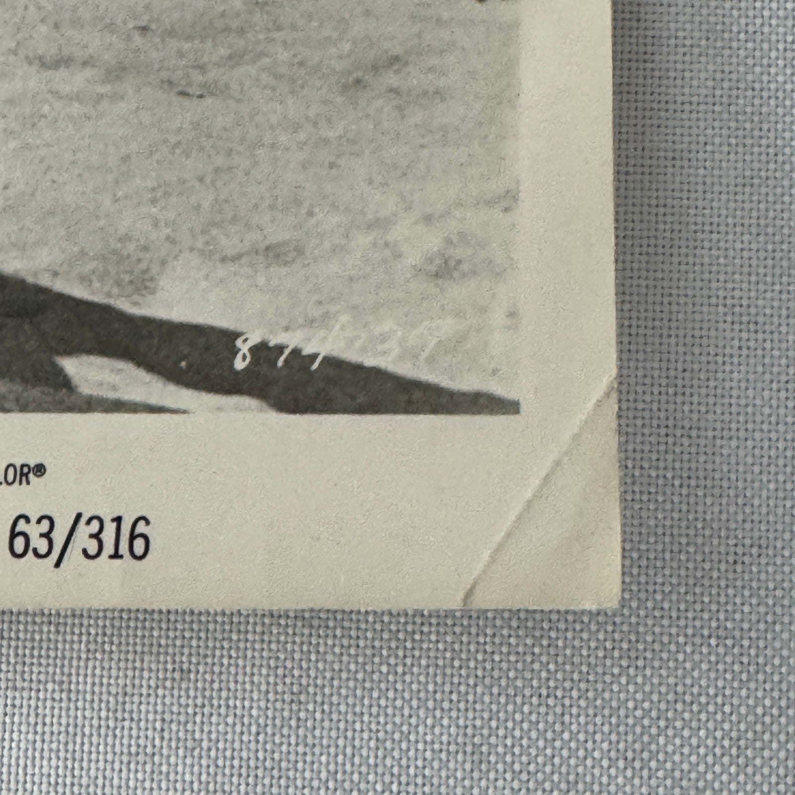 Vintage Movie Still Press Photo Photograph Palm Springs Weekend