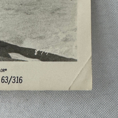 Vintage Movie Still Press Photo Photograph Palm Springs Weekend