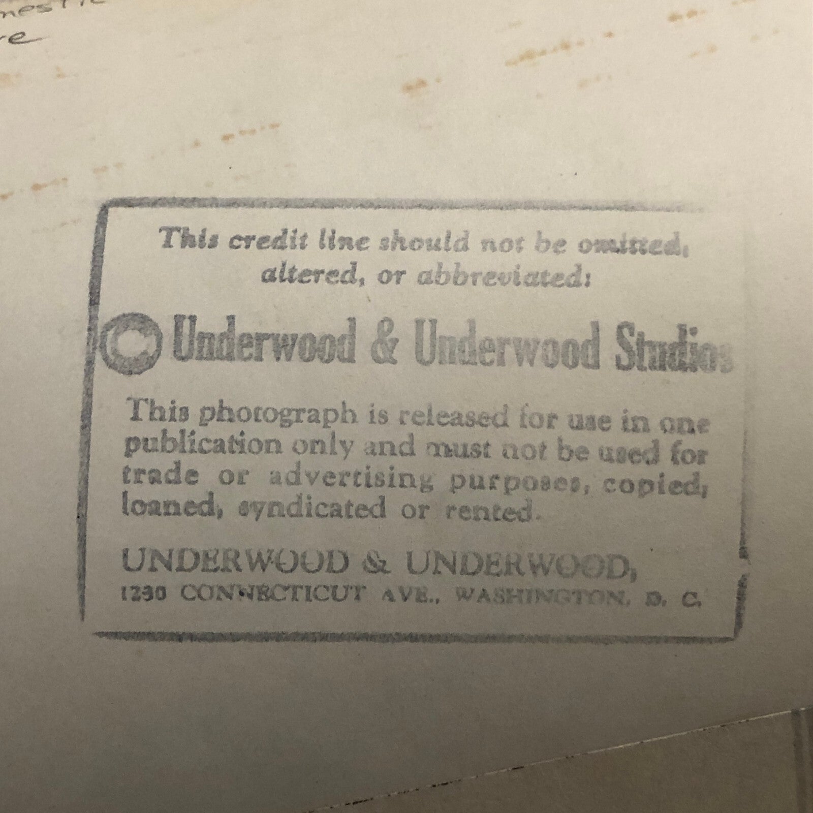 Press Photo Photograph American Insitute of Arhitects Historic Building Chair