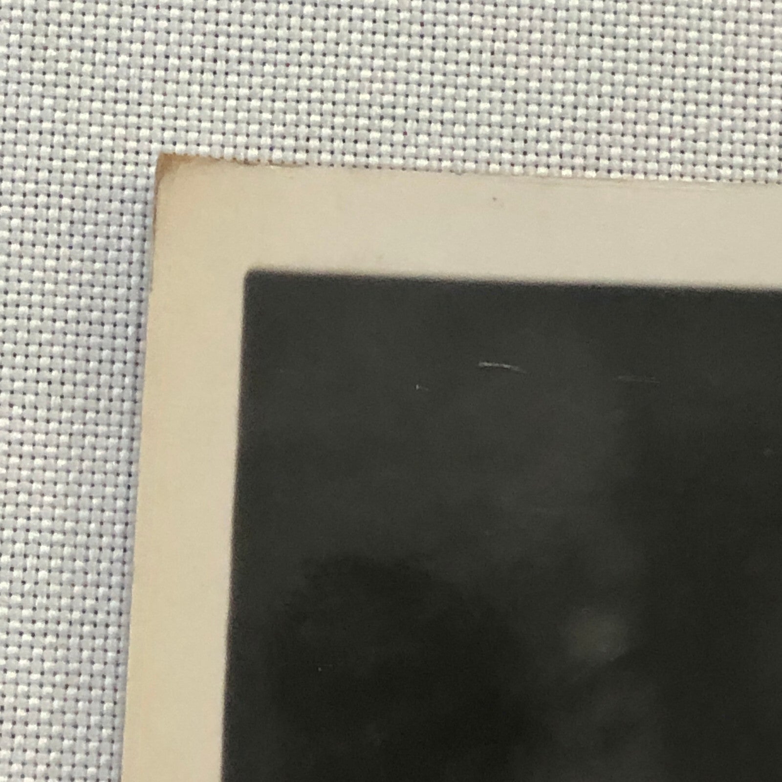 Circus Troupe Performers Bicycle Acrobat Photo Photograph Print Vintage