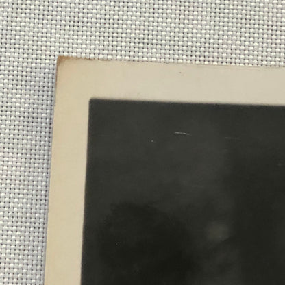 Circus Troupe Performers Bicycle Acrobat Photo Photograph Print Vintage